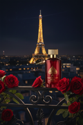 Rouge Paris Rooftop